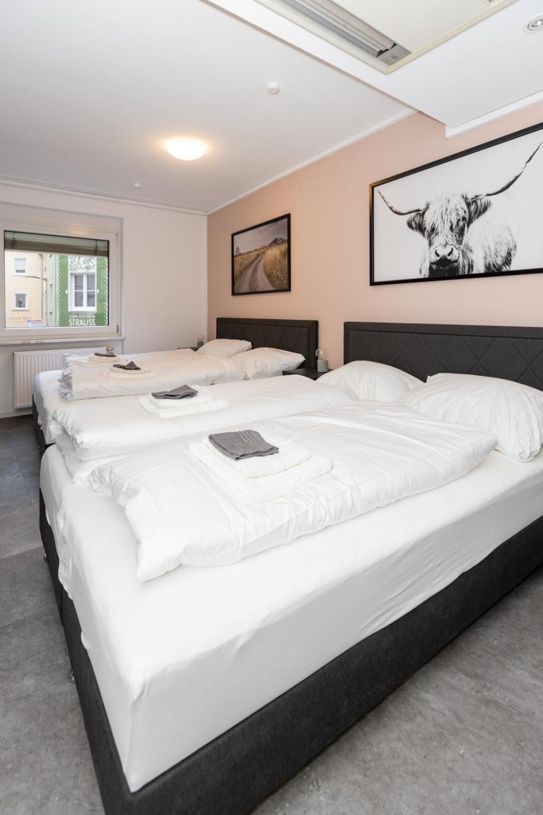 Grosse Ferienwohnung In Der Altstadt 维尔茨堡 外观 照片